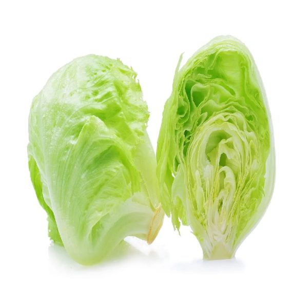 Iceberg Lettuce