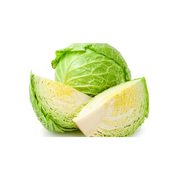 Cabbage