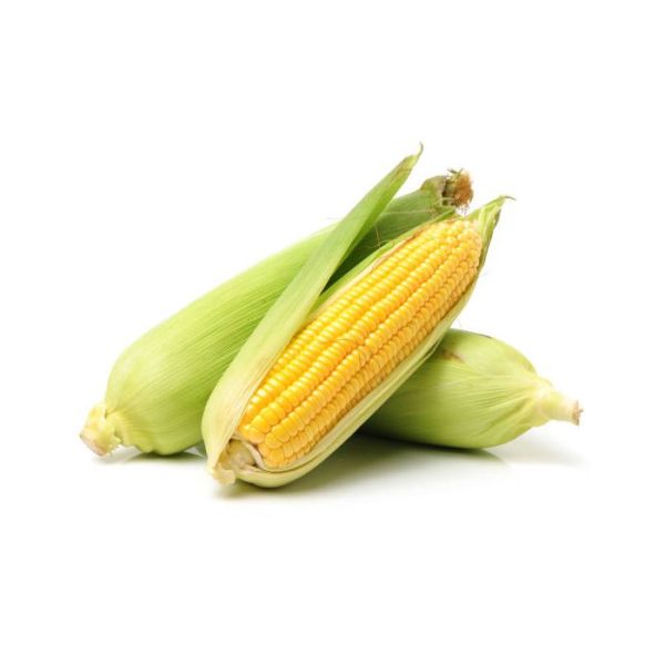 SweetCorn