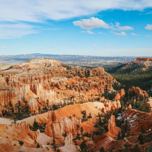 Adventure Awaits National Parks Vintage T-Shirt